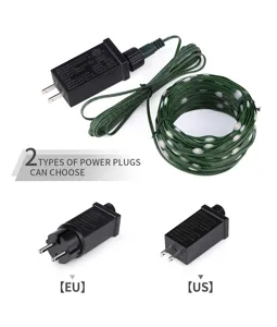 LED string lights detail showing power adapter options with US and EU plug specifications.