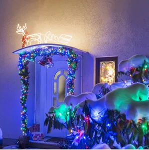 Outdoor Christmas LED string lights detail shot, colorful decorative lighting for doorway and bushes.