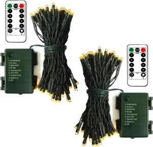 Vista dettagliata di catene luminose LED con scatola batterie e pratico telecomando.