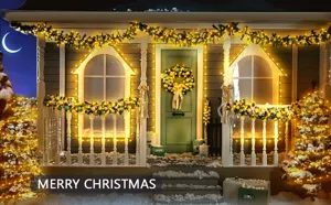 Catena luminosa LED impermeabile esterno con scatola batterie per albero Natale giardino