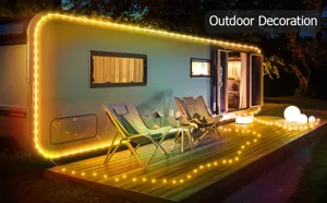 Catena luminosa LED impermeabile da esterno per giardino patio festa di Natale decorazione.