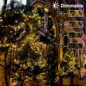 Catena luminosa Natale LED esterna impermeabile fiabesca con modalita dimmerabile.