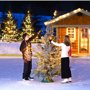 Catena di luci solari a LED da esterno per albero di Natale, luci impermeabili per feste in giardino.