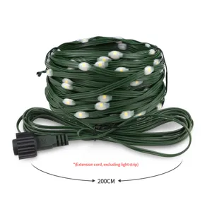 LED string light waterproof outdoor green wire decorative fairy lights 200cm extension cord