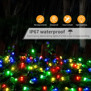 Waterdichte kleurrijke LED lichtsnoer voor buiten en tuin decoratie in de kerstboom
