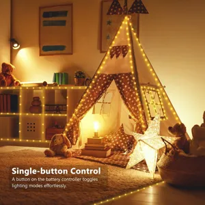 Luminosa catena LED calda con scatola batteria e modalità multiple per decorare ogni ambiente.