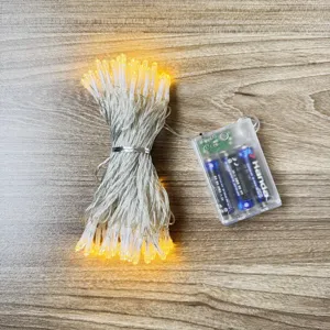 Nahaufnahme der batteriebetriebenen warmen LED-Lichterkette mit transparenter Batteriebox.