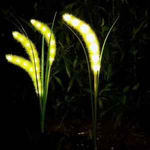 Solar LED foxtail grass light for outdoor garden, yard, and lawn decoration lighting use.
