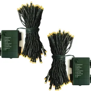 Catena luminosa LED a batteria impermeabile filo verde luci di Natale con 9 modalità