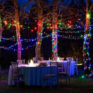 Buiten string lights scene met kleurrijke LED sprookjeslichtjes voor bomen en tafels.