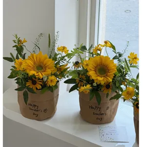 Sonnenblumen Topfpflanzen in waschbaren Kraftpapiertueten als Geschenke zum Tag der Lehrer.