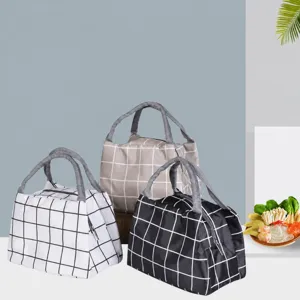Borsa Termica Porta Pranzo Portatile Borsa Frigo Termica Griglia Impermeabile Organizer Per Scatola Pranzo Per Studenti Ufficio Uso Quotidiano