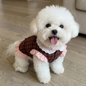 Detalle de vestido para mascotas con tela de cuadros, volantes de lunares y cuello de encaje.