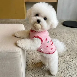 Détail de pull pour animal rose, gilet tricoté pour chien avec broderie nœud pour petits.