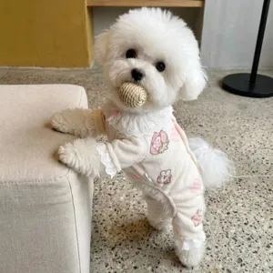 Cute fleece pet four-leg pajamas with lace collar and cartoon print, warm autumn winter dog clothes.