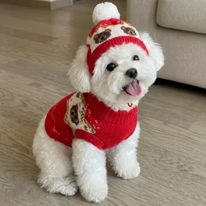 Cute red knit dog sweater and hat set with bear pattern, warm winter pet apparel for small dogs.