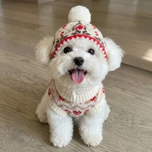 Cute Christmas dog sweater and hat set for small pets, warm knitted winter pet apparel.