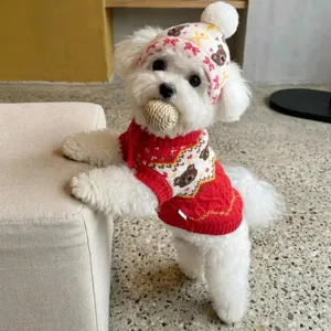 Detailed view of Christmas knit dog sweater and cute pom-pom hat worn by a small white pet.