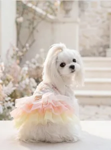 Vista detallada de vestido veraniego para perro pequeño con encaje, volantes y anilla D.