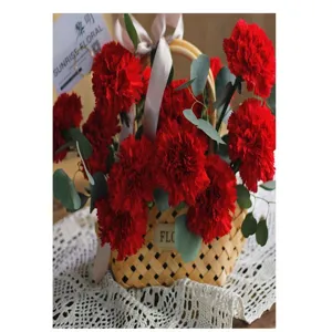 Handgemachter Weiden Blumenkorb im ländlichen Stil geflochtene Handtasche mit weißem Schleifendetail