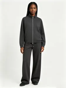 Men's Casual Heavyweight Fleece Stand Collar Zip Up Sweatshirt And Sweatpants Solid Color Activewear Suit