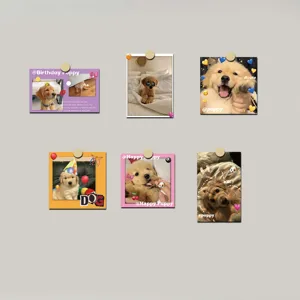 Postal de golden retriever linda decoracion de pared estilo ins tarjetas de foto dormitorio