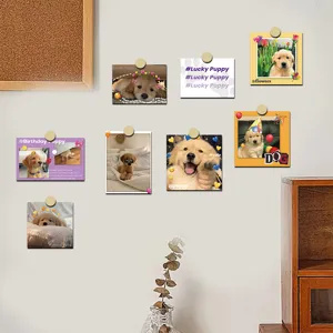 Tarjetas Decorativas Estilo INS Cachorro Golden Retriever Postales Lindas Para Dormitorio Sala De Estar Decoración De Pared Regalo