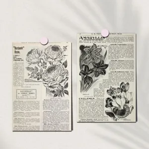 Detailed view of two vintage botanical illustration cards with English text and pink pins.