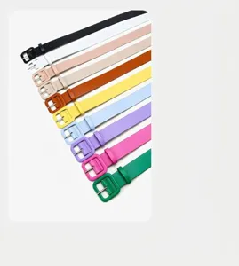 Women minimalist multi-color decorative leather belt detail view showing vibrant fashion options.