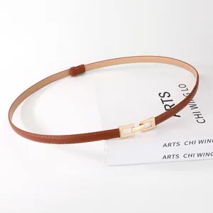 Smalle bruine lederen riem met gouden metalen gesp detail voor jurken en jassen.