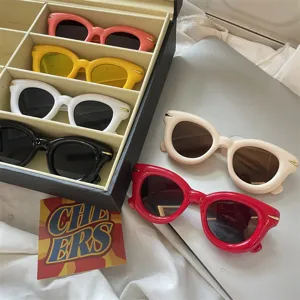 Nahaufnahme von stylischen klobigen aufgeblasenen Sonnenbrillen in einer Aufbewahrungsbox.