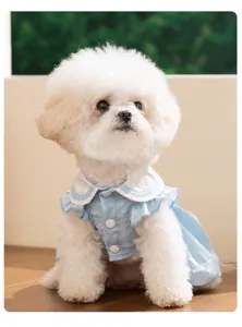 Nahaufnahme eines süßen weißen Hundes im hellblauen Rüschen-Haustierkleid für den Sommer.