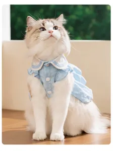 Gros plan détaillé sur une élégante robe de chat à carreaux bleus avec col blanc.