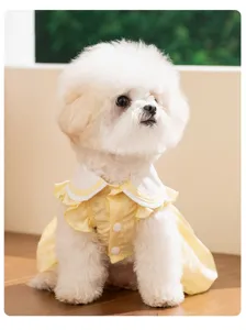 Schickes gelbes kariertes Haustierkleid für kleine Hunde und Katzen mit weißem Kragen.