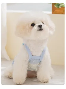 Nahaufnahme von atmungsaktiven Mesh-Hunde-Hosenträgern, kühle Sommerkleidung für Haustiere.