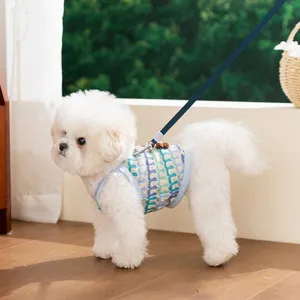 Adorabile pettorina per cani traforata con guinzaglio, abbigliamento leggero per piccoli animali.