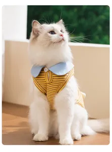 Primo piano dettagliato del grazioso gilet per gatti con strisce gialle e colletto blu.