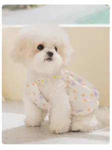 Charmantes Detailbild des Blumen Hundekleids mit süßem Gänseblümchen Kragen für Haustiere.