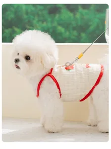 Vestiti estivi traspiranti per animali, gilet leggero a due zampe per cani con stampa di frutta.