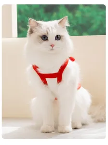 Detailopname van een ademend rood huisdierhesje met schouderbandjes gedragen door een kat.
