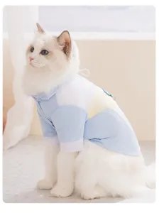 Close-up of breathable pet cooling shirt, color-block two-leg apparel for cats detail view.
