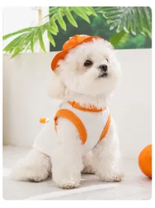 Chaleco transpirable para mascotas primavera verano, perros pequeños, sombrero de fruta.