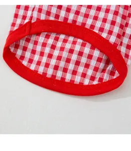 Gedetailleerde close-up van rood-wit geruite huisdierenkleding met zachte rode kraag.