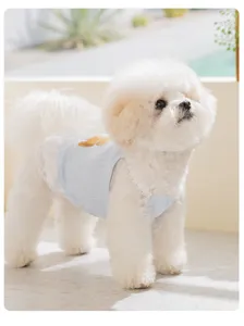 Schattige zomerhondenjurk voor kleine honden en katten, blauwe kanten dierenkleding schattig.
