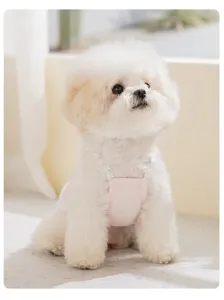 Schattige lente zomer hond jurk huisdier kleding met kant bandjes voor kleine katten