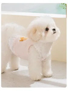 Lente zomer schattige kleine hond jurk roze kant ademende huisdierkleding voor puppy kat