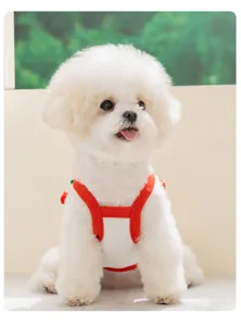 Detailansicht der atmungsaktiven Sommer-Welpen-Trägerkleidung mit 3D-Kirsch-Design für kleine Hunde.