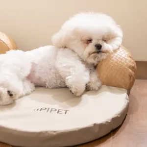 Cozy pet sofa bed with woven armrests and soft cushion, perfect for small dogs and cats.