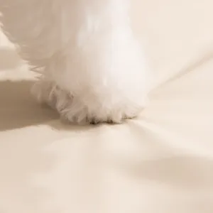Close-up detail of pet bed soft leather surface and white paw texture, comfortable cushion.