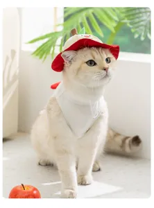 Detailed shot of cute cat wearing apple print summer thin vest and matching hat, pet clothing.